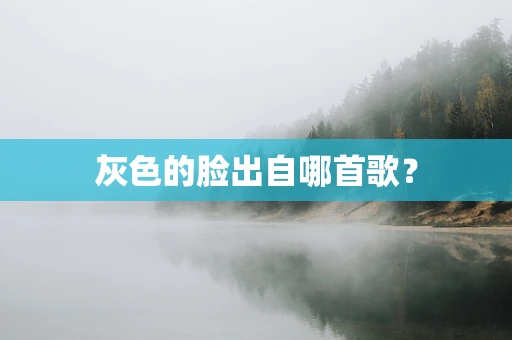 灰色的脸出自哪首歌？