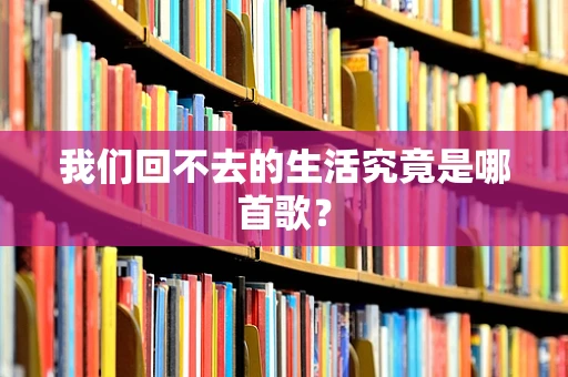 我们回不去的生活究竟是哪首歌？