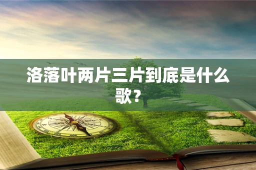 洛落叶两片三片到底是什么歌？