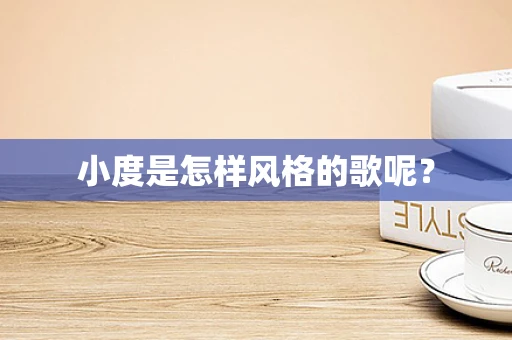 小度是怎样风格的歌呢？