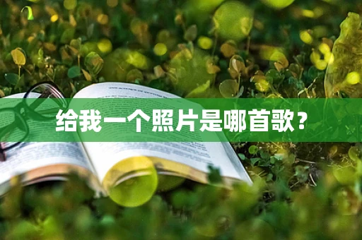 给我一个照片是哪首歌？