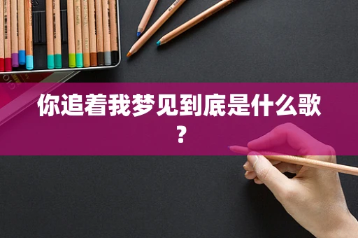 你追着我梦见到底是什么歌？