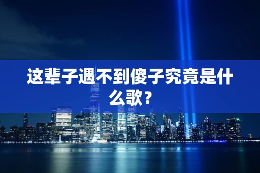 这辈子遇不到傻子究竟是什么歌？