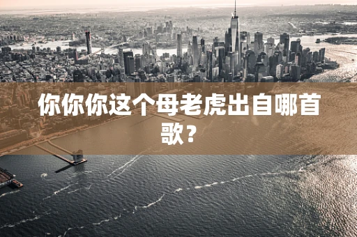 你你你这个母老虎出自哪首歌？