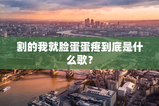 割的我就脸蛋蛋疼到底是什么歌？