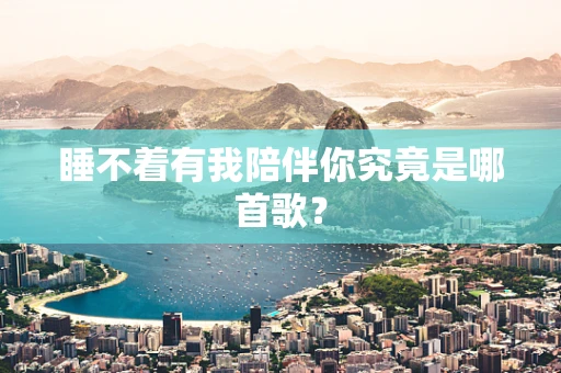 睡不着有我陪伴你究竟是哪首歌？