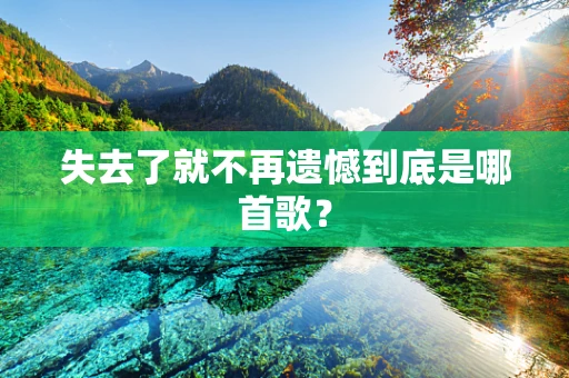 失去了就不再遗憾到底是哪首歌？