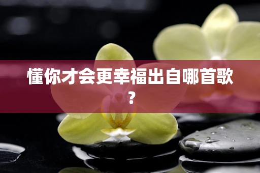 懂你才会更幸福出自哪首歌？