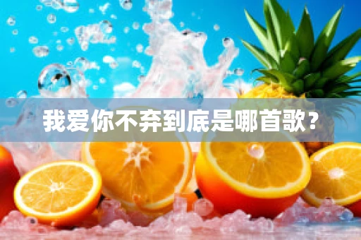 我爱你不弃到底是哪首歌？