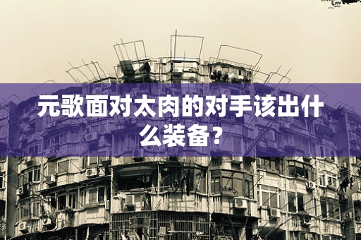 元歌面对太肉的对手该出什么装备？
