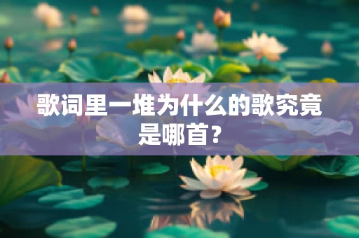 歌词里一堆为什么的歌究竟是哪首？