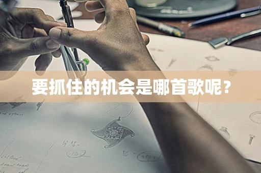 要抓住的机会是哪首歌呢？