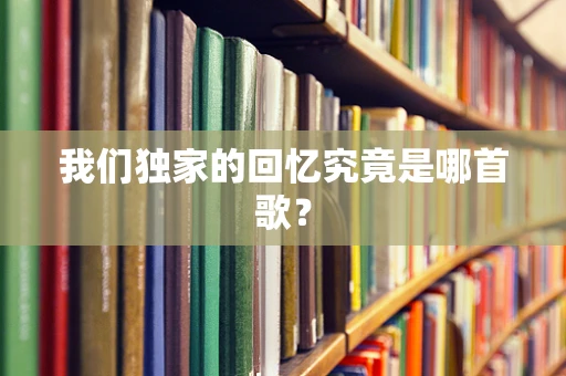 我们独家的回忆究竟是哪首歌？