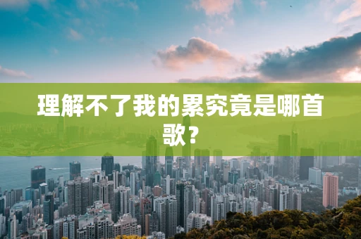 理解不了我的累究竟是哪首歌？