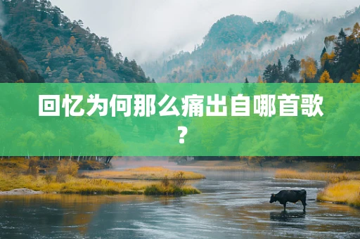 回忆为何那么痛出自哪首歌？