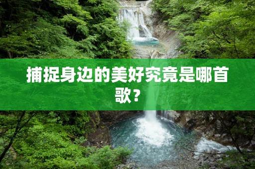 捕捉身边的美好究竟是哪首歌？
