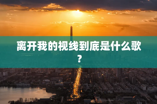 离开我的视线到底是什么歌？