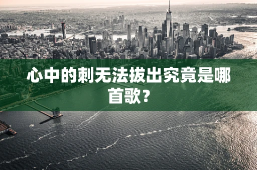 心中的刺无法拔出究竟是哪首歌？