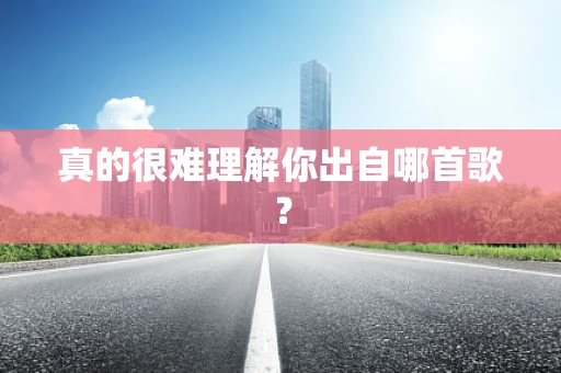 真的很难理解你出自哪首歌？