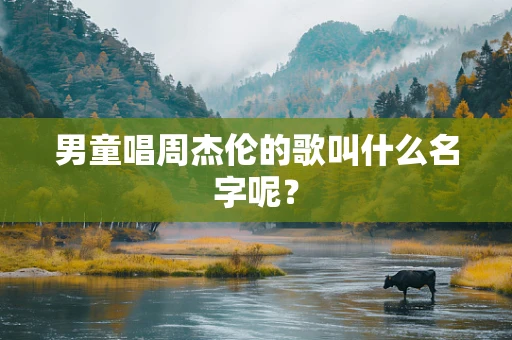 男童唱周杰伦的歌叫什么名字呢？