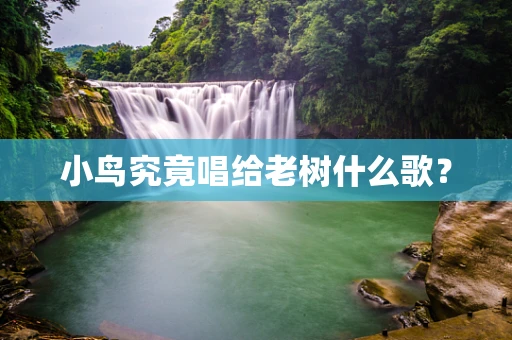 小鸟究竟唱给老树什么歌？
