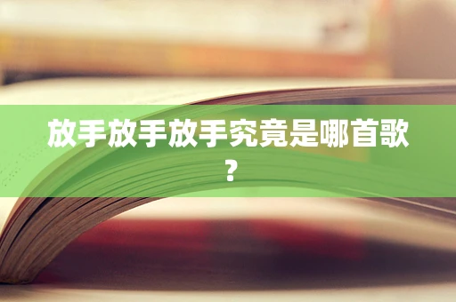 放手放手放手究竟是哪首歌？