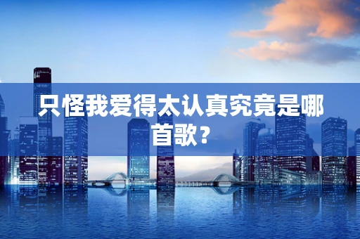 只怪我爱得太认真究竟是哪首歌？