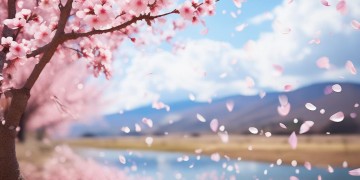 漫天飘飘洒洒杏花落究竟出自哪首歌？