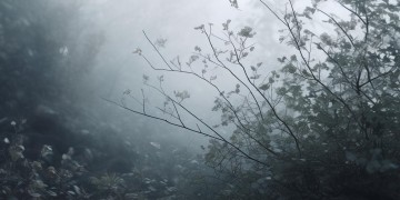 走过你走过的风究竟是哪首歌？