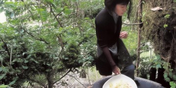 惊艳过谁的时光究竟是哪首歌？