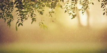 谁陪我遮风挡雨究竟出自哪首歌？