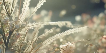 究竟什么歌能勾起多少往事？