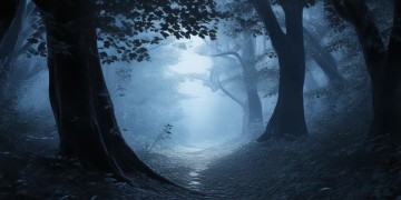 夜儿漫漫长究竟出自哪首歌？
