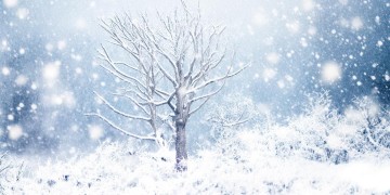 半生风雪致敬英雄的歌究竟叫什么？