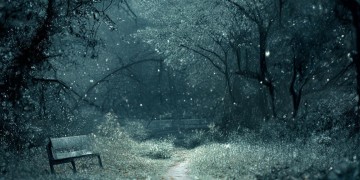在梦里我很孤独究竟是什么歌？