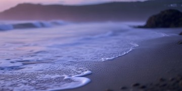 曾经沧海为谁变成出自哪首歌？