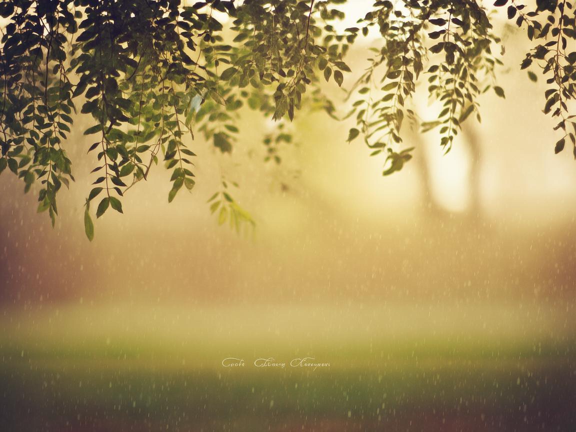 谁陪我遮风挡雨究竟出自哪首歌？